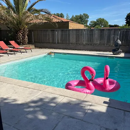 Oasis Votre Paradis Avec Piscine Et Jacuzzi * マジュスク