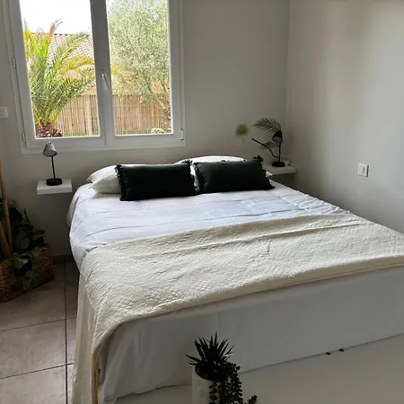 Oasis Votre Paradis Avec Piscine Et Jacuzzi Villa Magescq